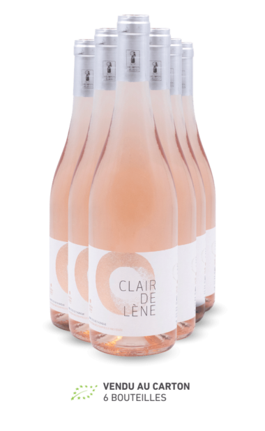 CLAIR DE LENE ROSE CARTON WEB